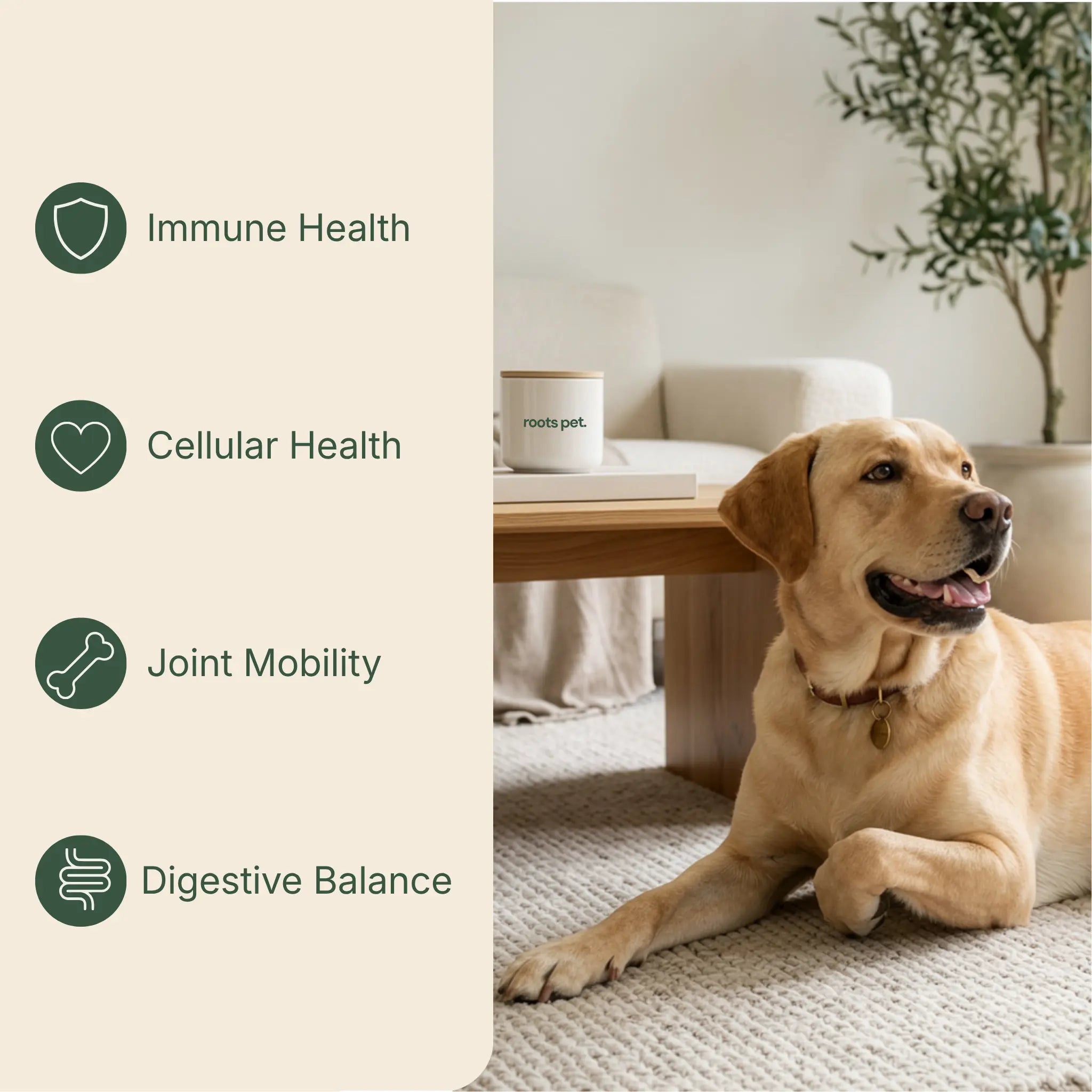 Longevity & Vitality Soft Chew