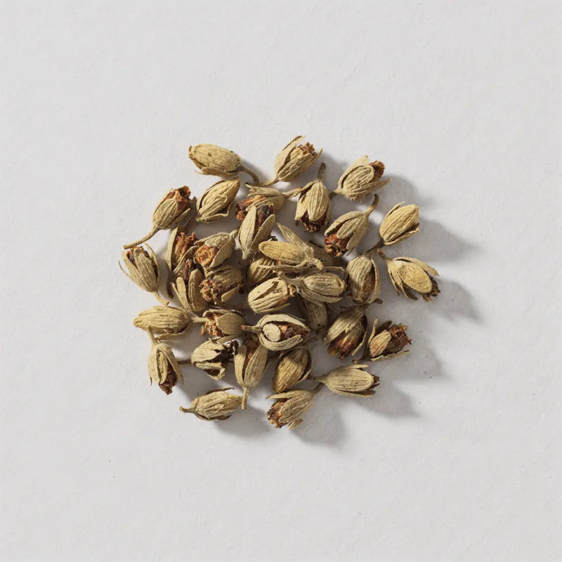 Quercetin Phospholipids